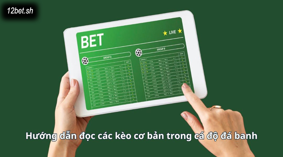 Hướng dẫn đọc các kèo cơ bản trong cá độ đá banh