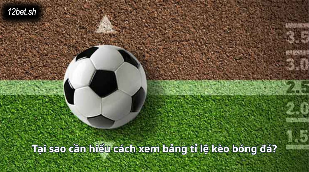 Tại sao cần hiểu cách xem bảng tỉ lệ kèo bóng đá?